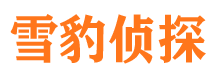 永仁找人公司